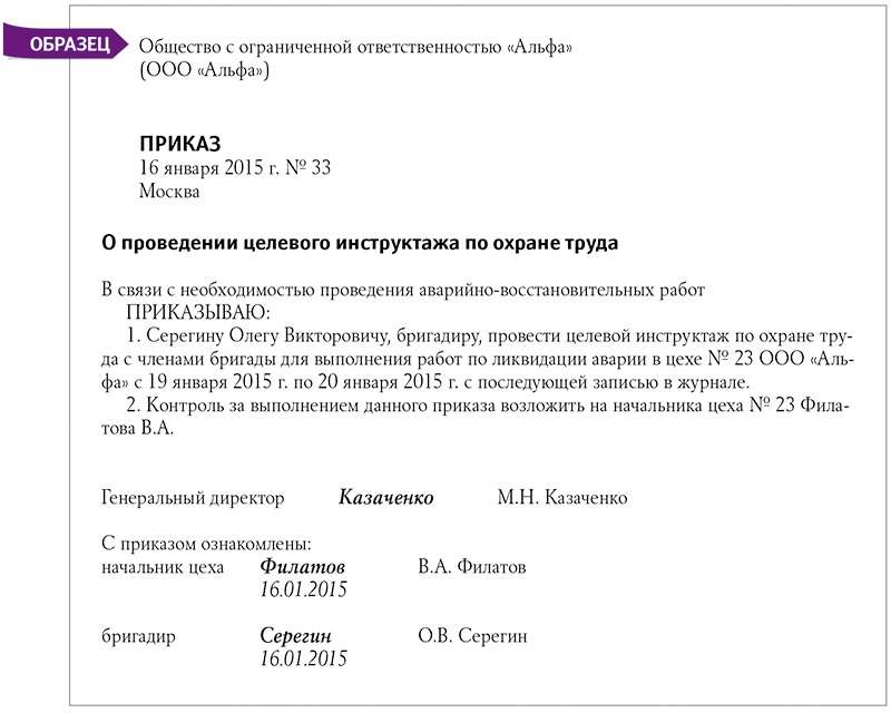 Приказ о проведении вводного инструктажа по охране труда. Приказ о проведении противопожарного инструктажа образец. Приказ о внеплановом инструктаже по охране труда. Распоряжение о проведении инструктажа. Приказ о проведении противопожарных инструктажей 2024.